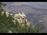 Grand Canyon 2008